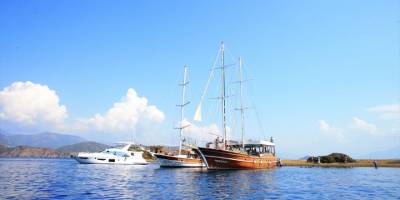 Orman yangınlarının Akdeniz'deki ekosisteme etkileri araştırılıyor