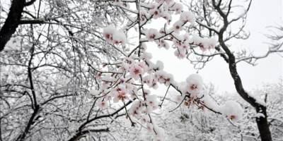 Mevsimlik tahminler "La Nina kışı geliyor" yorumlarıyla örtüşmüyor