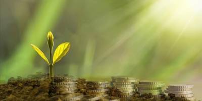 Dünya Bankasından 155 milyon dolarlık yeşil dönüşüm kredisine onay