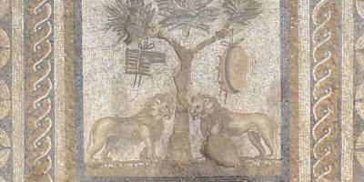 Düzce'de antik kentte "aslanlı mozaik" bulundu