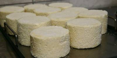 Mengen'in coğrafi işaretli peyniri, kooperatif çalışmasıyla ününü yayacak