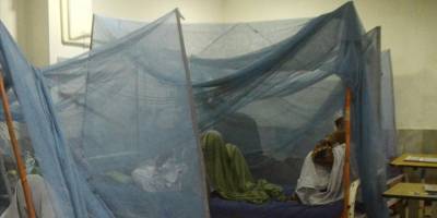 Bangladeş'te bu yıl dang hummasından hayatını kaybedenlerin sayısı 1600'ü aştı