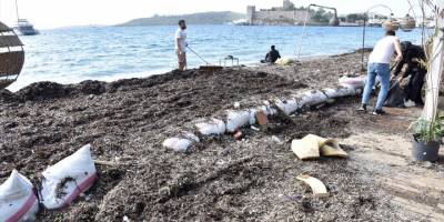 Bodrum'da kuvvetli rüzgarın ardından sahilde temizlik çalışması yapıldı
