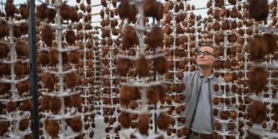 Kurutularak değeri katlanan cennet hurması üreticiye ek gelir oldu