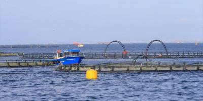 TBMM Balıkçılık ve Su Ürünleri Araştırma Komisyonu üyeleri, Muğla'da balık çiftliklerini inceledi