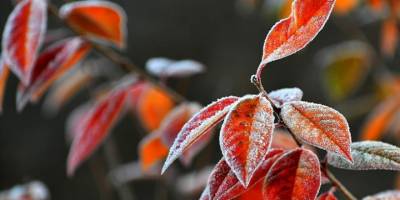 Erzurum, Ardahan, Kars, Tunceli ve Ağrı'da soğuk hava etkisini sürdürüyor