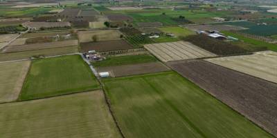 Kasım yağmurları Ege'de çiftçinin yüzünü güldürdü