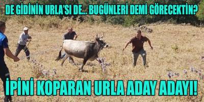 Urla, Vahşi Batı'daki gibi "Altına Hücum" yaşıyor! CHP'den 48 Aday adayı...