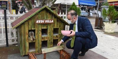 Kediler için villa yaptılar, şehrin çeşitli noktalarına yerleştirdiler