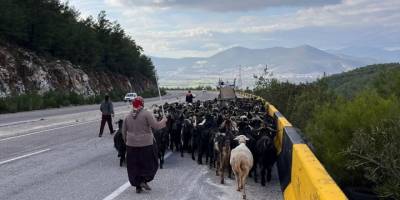 Denizli'den yola çıkan Yörükler kışı geçirmek için Muğla'ya göçtü