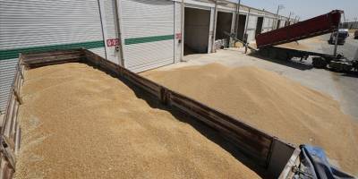 Hububat, bakliyat, yağlı tohumlar ve mamulleri sektörü Körfez pazarına yöneldi