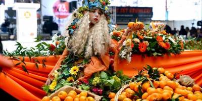 Seferihisar'da mandalina şenliği düzenlendi