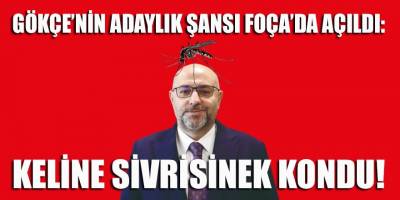 Gökçe’ye Foça’da sivrisinek tepkisi: Sivrisinekleri bile öldürmedi