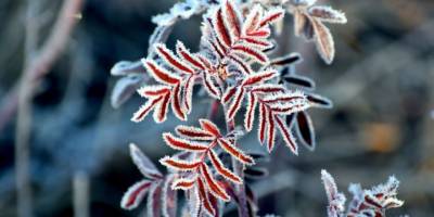 Bugün hava nasıl olacak?