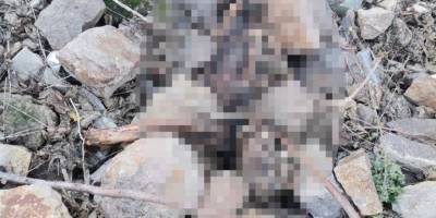 İzmir'de arazide insan iskeleti bulundu