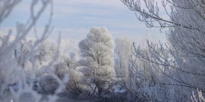 Türkiye'de en soğuk gece sıfırın altında 17,2 dereceyle Bolu'da yaşandı