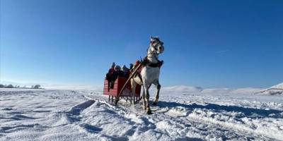 Yüzeyi kar ve buzla kaplı Çıldır Gölü'nde atlı kızak heyecanı sürüyor