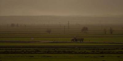 Deprem bölgesindeki üreticilere 14 milyar 150 milyon lira tarımsal destek sağlandı