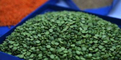 Yeşil mercimek ithalatında gümrük vergisi sıfırlandı