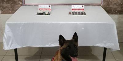 Kütahya'da uyuşturucuyla yakalanan 2 zanlı tutuklandı