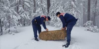 Karla kaplanan Kazdağları'na yaban hayvanları için yem bırakıldı