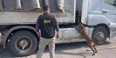 Adana'da ahşap yüklü tırda 100 kilo 700 gram esrar ele geçirildi