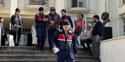 Bodrum'da 6 köpek ve 3 kedinin ölümüyle ilgili gözaltına alınan zanlı tutuklandı