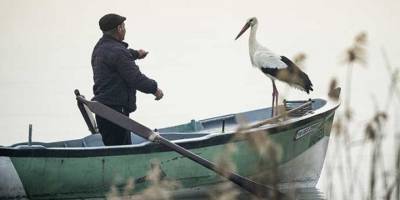 "Yaren" leylek göl manzaralı yuvasının bulunduğu Bursa'ya 13'üncü yılında da geldi