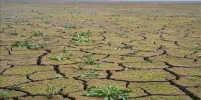 Zambiya'da kuraklıktan ötürü "ulusal afet" ilan edildi