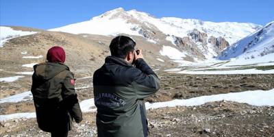 Koruma tedbirleriyle yaban hayvanları daha güvenli ortamlarda yaşamlarını sürdürüyor