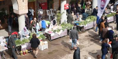 Manisa'da Şifalı Otlar Festivali düzenlendi