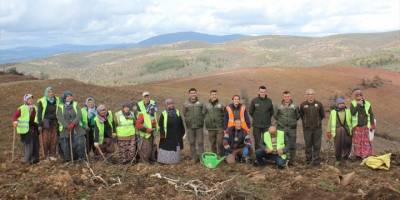 Kütahya'da geçen yıl yanan ormanlık alan ağaçlandırılacak
