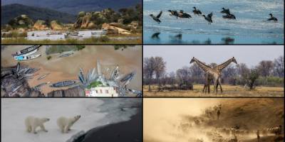 WMO: Kayıtlara "en sıcak yıl" olarak geçen 2023'te aşırı iklim olaylarında yeni rekorlara ulaşıldı