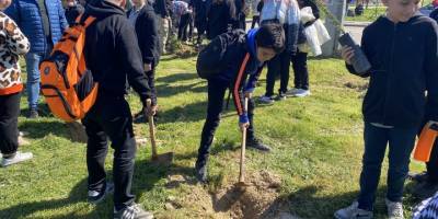 Alaşehir'de fidan dikim etkinliği düzenlendi