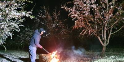 Manisa'da çiftçiler ateş yakıp "zirai don nöbeti" tuttu