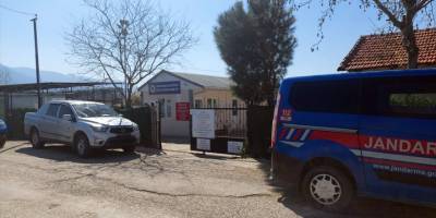 İzmir Kemalpaşa'da barınakta çekildiği iddia edilen ölü köpek görüntüleri tepkilere neden oldu