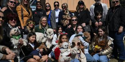 AK Parti Konak Belediye Başkanı adayı Çankırı, sahipsiz hayvanlarla ilgili projelerini tanıttı