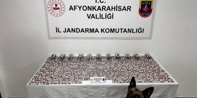 Afyonkarahisar'da uyuşturucu operasyonunda bir kişi tutuklandı