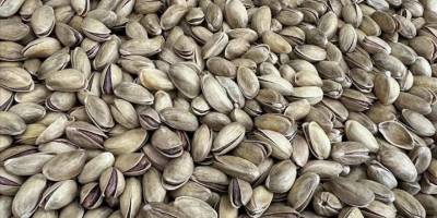 Türkiye'den yılın ilk 3 ayında 73,8 milyon dolarlık fıstık ihraç edildi