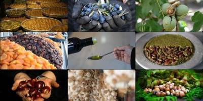 Coğrafi işaret başvurusunda Hatay, tescilinde Gaziantep lider oldu