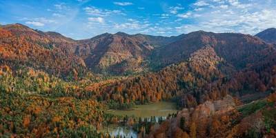 Ormanlar su rejimini düzenleyip yer altı suyu kalitesini zenginleştiriyor