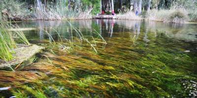 NASA'nın da tanıttığı Kadın Azmağı Deresi'nde ziyaretçi yoğunluğu yaşanıyor