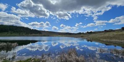 Çankırı'daki Yapraklı Yaylası yılkı atları ve göletleriyle ilgi çekiyor