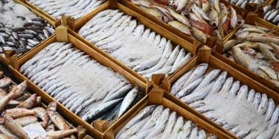 Ege Denizi'ndeki gırgır tekneleri av yasağıyla birlikte limanlara demir attı