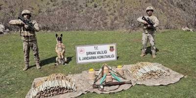 "Bozdoğan-28" operasyonlarında 82 mağara, sığınak ve barınma alanı imha edildi