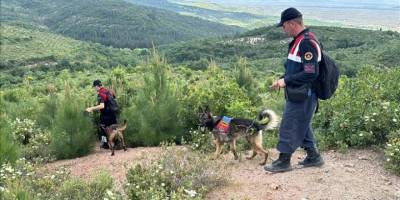 Ekonomist Korhan Berzeg'in Gönen'de evinin yakınındaki aramaların 5. günü de tamamlandı