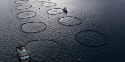 Türk balıkçılarının yeni rotası Afrika ülkeleri