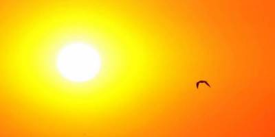 Yaz ne zaman gelecek?