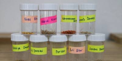 Türkiye'nin ilk agro kütüphanesi Uluslararası Yeşil Kütüphane Ödülü için ilk 5'te