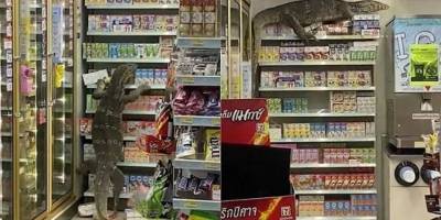 Tayland'da komodo ejderi bir süpermarkete daldı